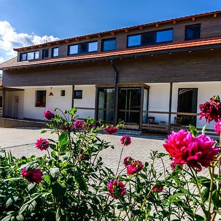 Lina Agropanzio Hotel Tomesti  Exterior photo