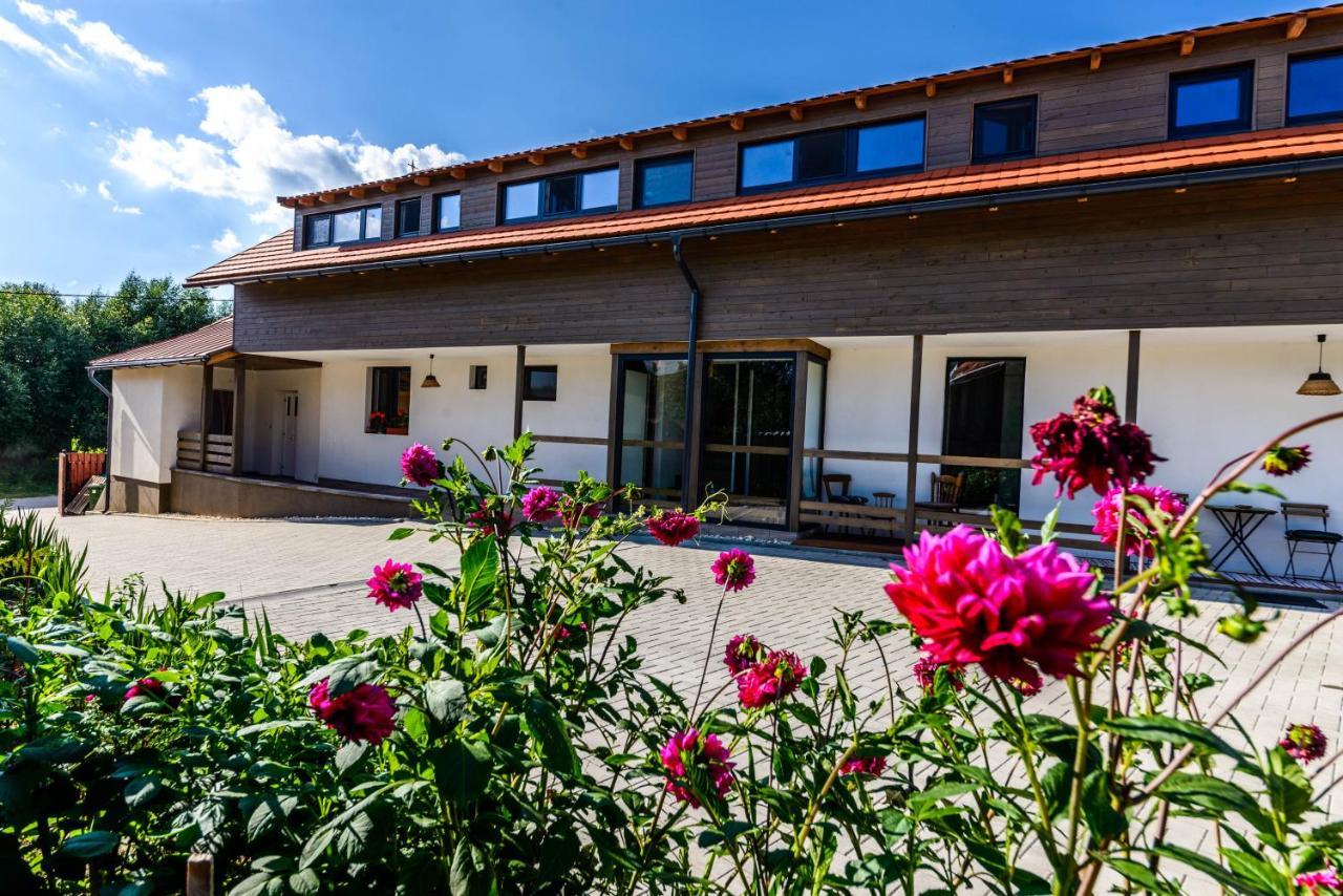 Lina Agropanzio Hotel Tomesti  Exterior photo